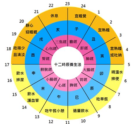 身體五行時間|跟著時辰去養生 十二經絡養生時間表｜中醫精髓｜該 